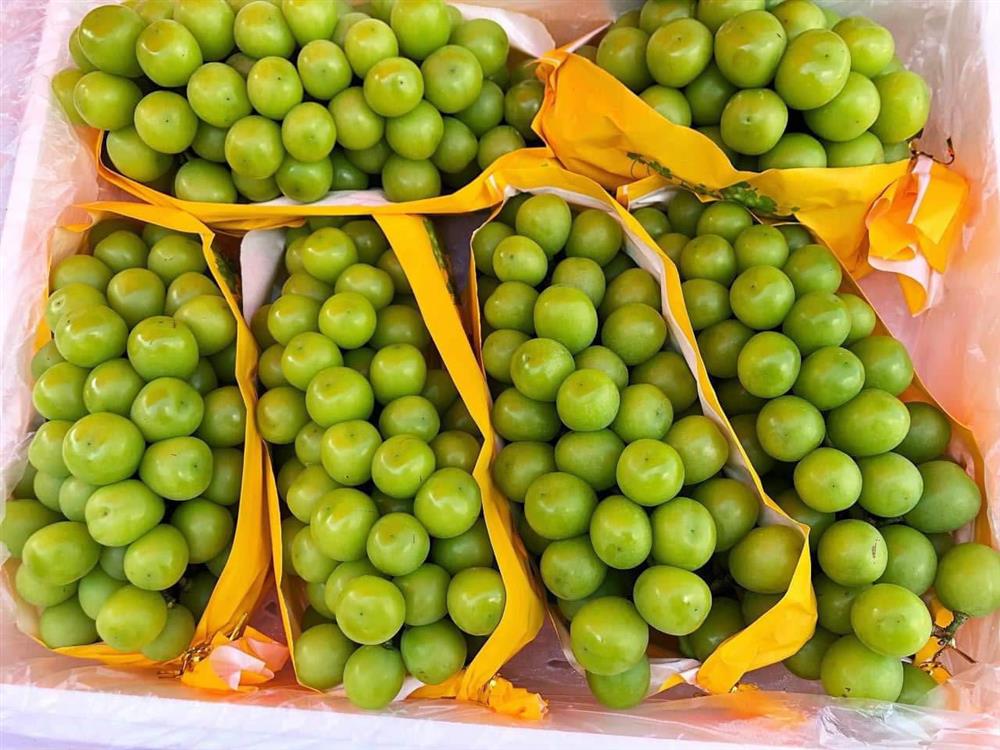 Nho sữa hàng Tàu đổ về chợ, giá rẻ chưa từng có-3