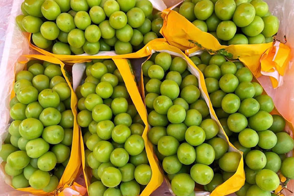 Nho sữa to tròn căng mọng bán trên chợ online tấp nập, giá rẻ hơn nhiều so với năm ngoái chỉ 99 ngàn/kg-10