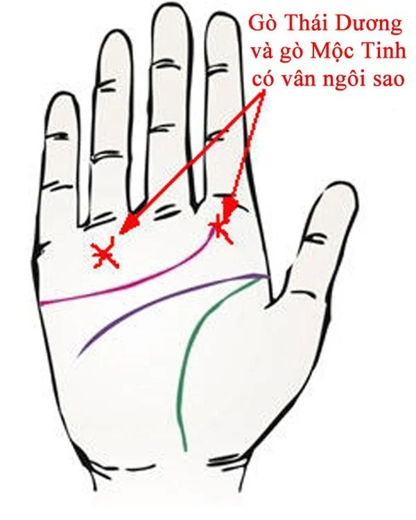 Cầm bàn tay người bạn đời, nếu thấy dấu hiệu này chứng tỏ đó là người có quý nhân phù trợ-1
