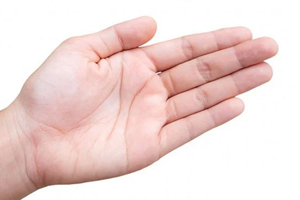 Sau Rằm tháng 8: 3 con giáp làm đâu trúng đó, càng nỗ lực cố gắng càng dễ thành công-3