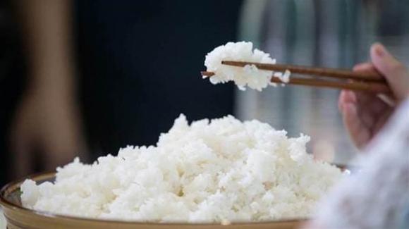 Tôi có thể ăn cơm để qua đêm không? Nhiều người hiểu chưa đúng. Hãy nhanh nói cho gia đình biết những điều này nhé!-1