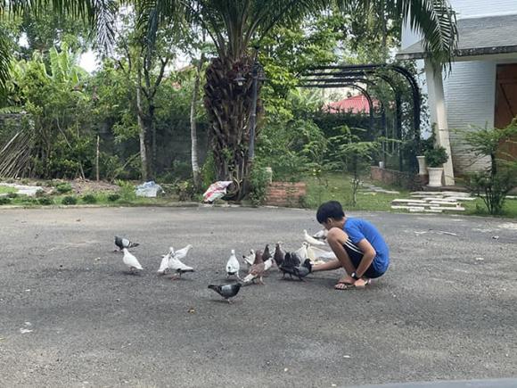 Không gian nhà vườn 600 m2 của vợ chồng Kiwi Ngô Mai Trang-5