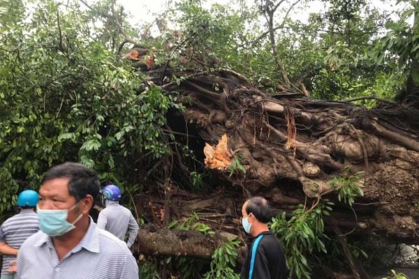 Cưỡng bức đồng nghiệp tại phòng trọ-1