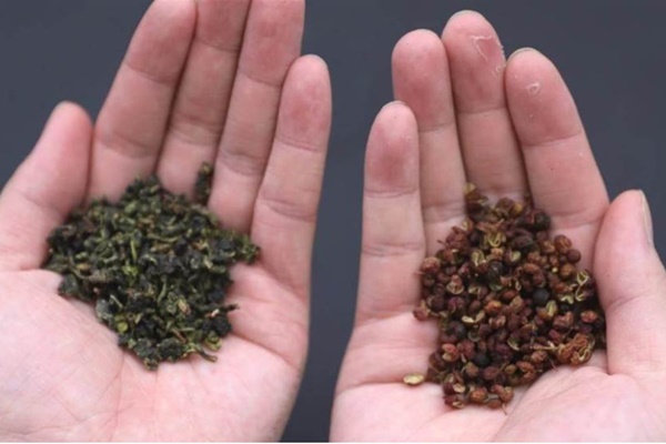 Cách hay để loại bỏ nấm mốc trong ô tô dù có đắp chiếu” lâu ngày-3