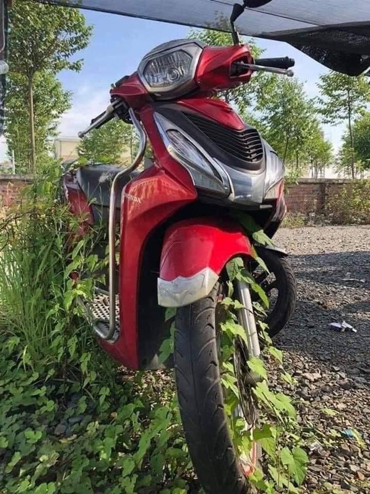 Sau gần 3 tháng mới sờ đến xe máy, nhiều người ngơ ngác khi cây cối mọc hẳn trên yên-3