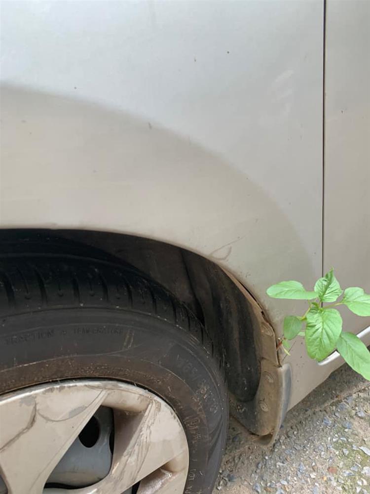 Sau gần 3 tháng mới sờ đến xe máy, nhiều người ngơ ngác khi cây cối mọc hẳn trên yên-9