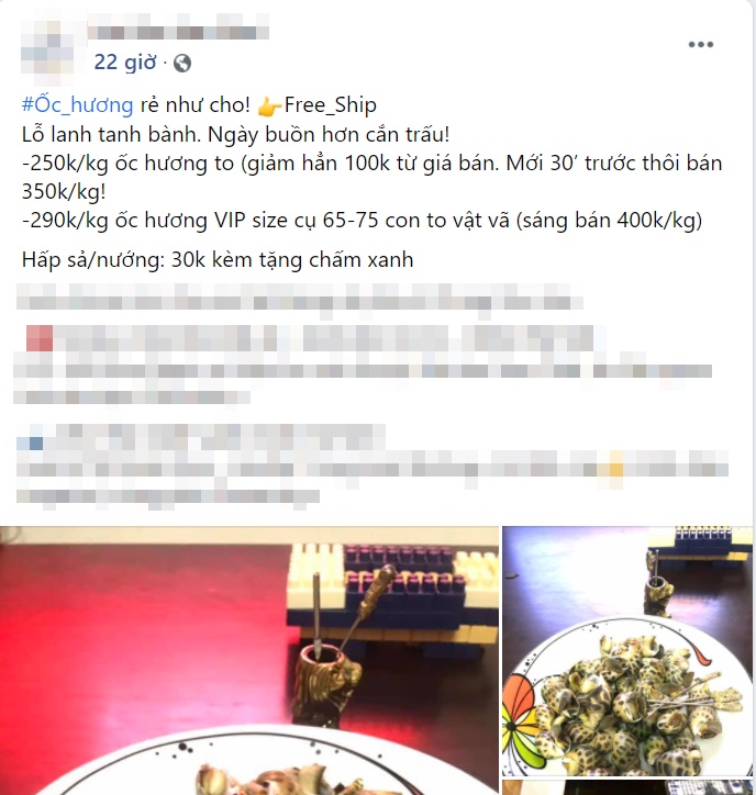 Hội ghiền ăn ốc hương đừng bỏ qua lúc này, sàn thương mại bán siêu rẻ chỉ 115 nghìn/kg-2