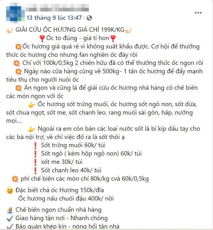 Hội ghiền ăn ốc hương đừng bỏ qua lúc này, sàn thương mại bán siêu rẻ chỉ 115 nghìn/kg-3