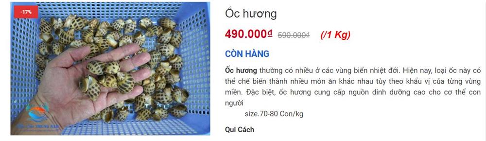 Hội ghiền ăn ốc hương đừng bỏ qua lúc này, sàn thương mại bán siêu rẻ chỉ 115 nghìn/kg-6