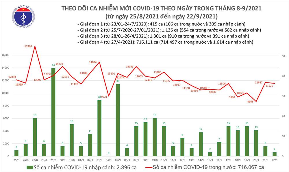 Ngày 22/9: Có 11.527 ca mắc COVID-19, riêng TP HCM và Bình Dương đã ghi nhận hơn 9.600 ca-1