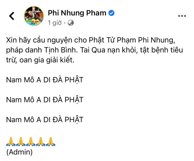 Vợ cũ Bằng Kiều gây lo lắng giữa đêm: Phi Nhung ơi em không được bỏ cuộc, các con rất cần em-4