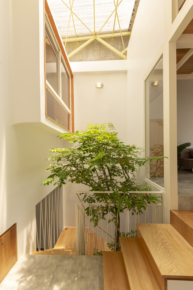 Nhà mái đôi Sài Gòn xinh ngất ngây với thiết kế lõi xanh, chỉ ngắm cũng thấy ngập tràn năng lượng tích cực-4