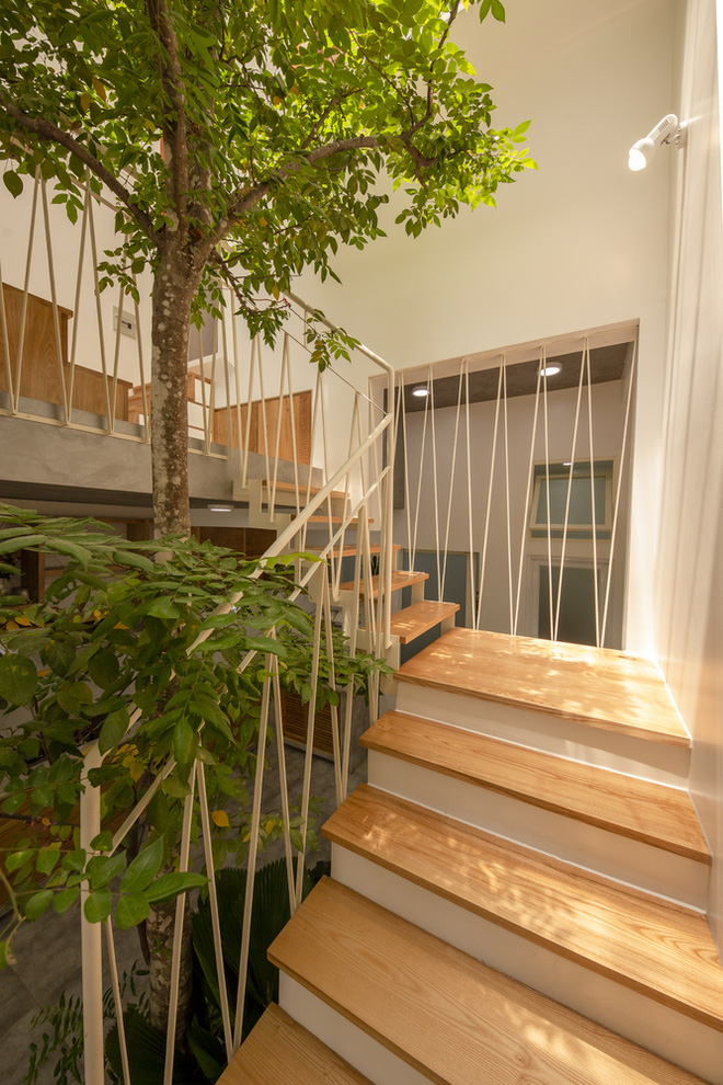 Nhà mái đôi Sài Gòn xinh ngất ngây với thiết kế lõi xanh, chỉ ngắm cũng thấy ngập tràn năng lượng tích cực-12