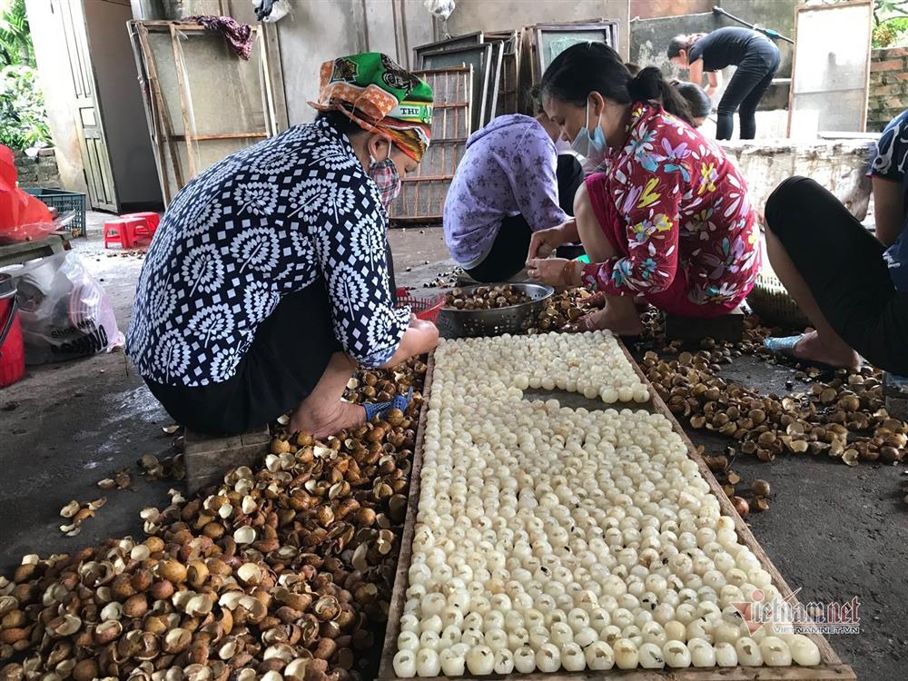 Chưa bao giờ buồn như năm nay: Nhãn Hưng Yên mất mùa, giá rẻ hơn rau-5