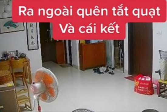 Ra ngoài quên tắt quạt, chủ nhà nhận về cái kết khiến ai cũng lo lắng thay