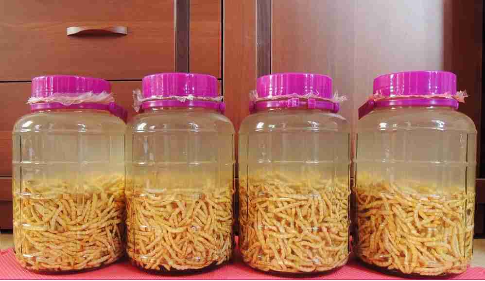 Loại sâu ở Việt Nam được ví như đông trùng hạ thảo của Trung Quốc, giá đắt nhưng không thiếu người mua vì ông ăn, bà vui-3