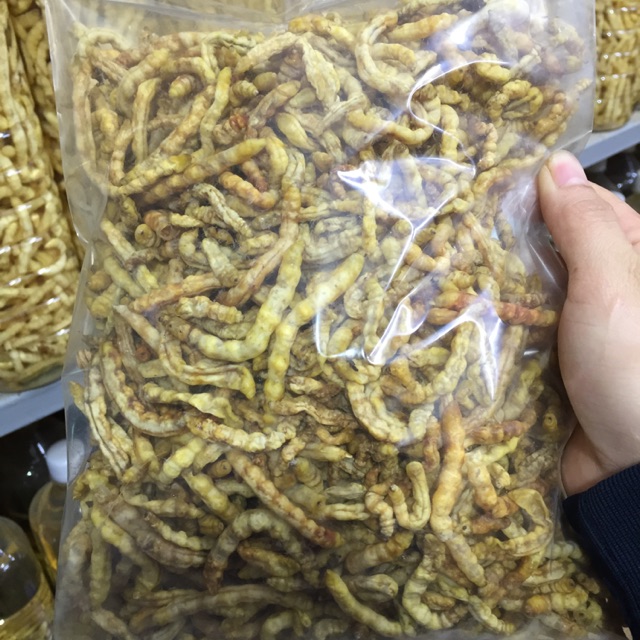 Loại sâu ở Việt Nam được ví như đông trùng hạ thảo của Trung Quốc, giá đắt nhưng không thiếu người mua vì ông ăn, bà vui-6