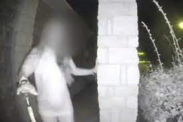 Nghe tiếng đập cửa inh ỏi lúc tờ mờ sáng, gia chủ bủn rủn chân tay khi chứng kiến cảnh tượng kinh hãi trước mắt-1