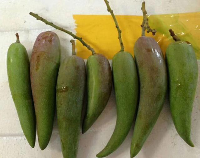 Nhìn xa cứ tưởng ớt xanh, nếm thử mới thấy choáng, bảo sao ai ăn cũng mê mẩn-1