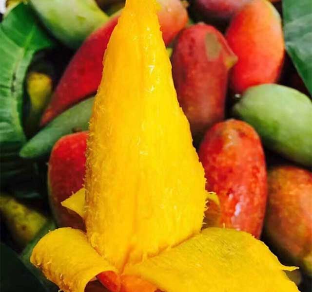 Nhìn xa cứ tưởng ớt xanh, nếm thử mới thấy choáng, bảo sao ai ăn cũng mê mẩn-3