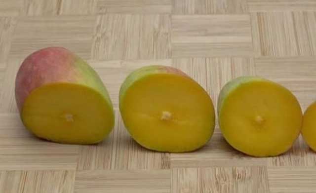 Nhìn xa cứ tưởng ớt xanh, nếm thử mới thấy choáng, bảo sao ai ăn cũng mê mẩn-5