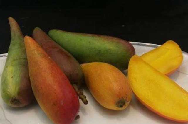 Nhìn xa cứ tưởng ớt xanh, nếm thử mới thấy choáng, bảo sao ai ăn cũng mê mẩn-4