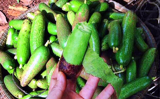 Bơ đực ăn đến nghiện, chị em săn lùng bằng được dù khó đặt hàng-5