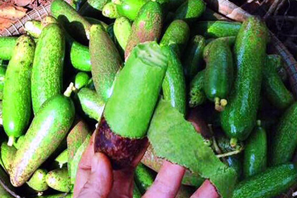 Ngã ngửa 6 loại rau đặc sản mọc hoang giá đắt hơn thịt-11