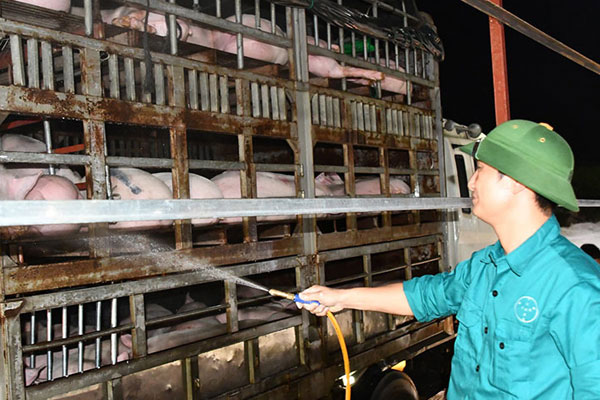 Giá lợn hơi chạm đáy, thịt lợn ở chợ và siêu thị vẫn đứng im-3