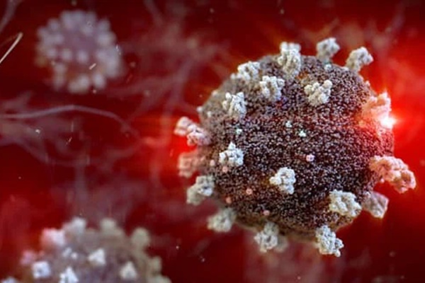 Ngày 24/9, có thêm 8.537 ca COVID-19 mới, 12.371 bệnh nhân khỏi bệnh-2