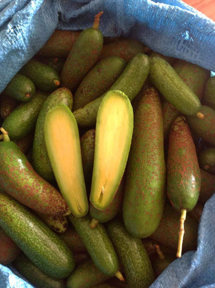 Năm loại trái cây không hạt làm mưa làm gió trên thị trường-4