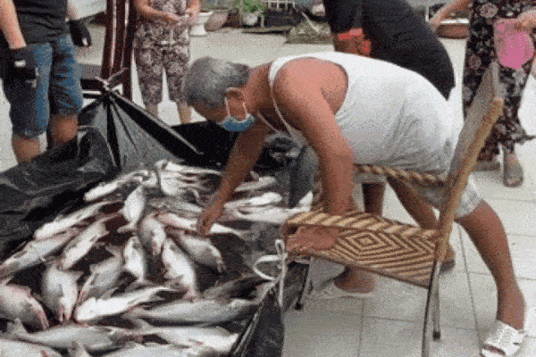 Chồng đạp xe đưa vợ bầu vượt 250km về Sóc Trăng, người lạ gặp giữa đường tặng 5 triệu: Cái kết vỡ òa xúc động-5