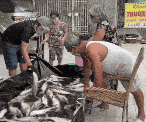 Gia đình chơi sộp nhất miền Tây mùa dịch: Mang hồ cá to đùng ra để trước nhà, ai cần cứ đến lấy 1 con khiến cả xóm xúc động-2
