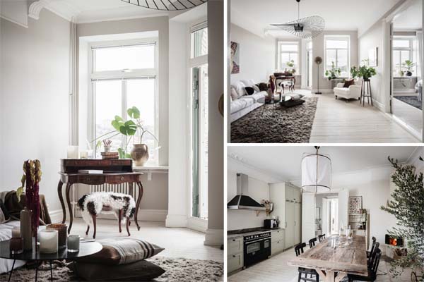 Cây cảnh trong nhà dành cho người bận rộn: Dù ít thời gian chăm sóc, bạn vẫn có những không gian xanh tuyệt vời-20