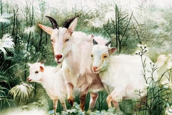 Từ tháng 10 đến tháng 12, 3 con giáp không có chuyện xấu, gặp nhiều điều tốt, sẽ trở nên giàu có trong một sớm một chiều