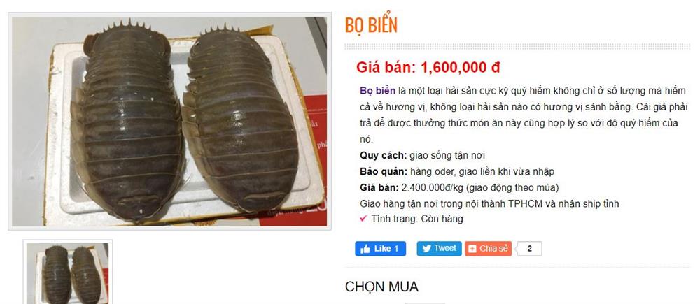 Việt Nam có loại hải sản mệnh danh xe tăng lội nước, giá bán 1,5 triệu/kg, có tiền chưa chắc đã mua được-2