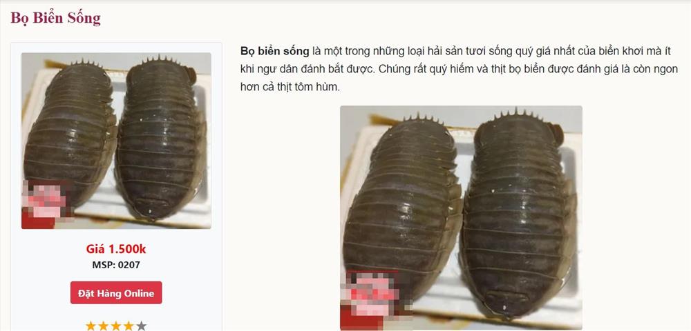 Việt Nam có loại hải sản mệnh danh xe tăng lội nước, giá bán 1,5 triệu/kg, có tiền chưa chắc đã mua được-3