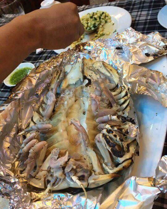 Việt Nam có loại hải sản mệnh danh xe tăng lội nước, giá bán 1,5 triệu/kg, có tiền chưa chắc đã mua được-5