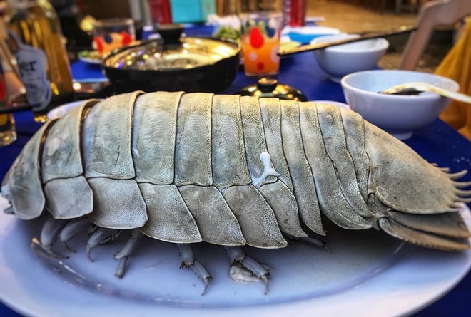 Việt Nam có loại hải sản mệnh danh xe tăng lội nước, giá bán 1,5 triệu/kg, có tiền chưa chắc đã mua được-6
