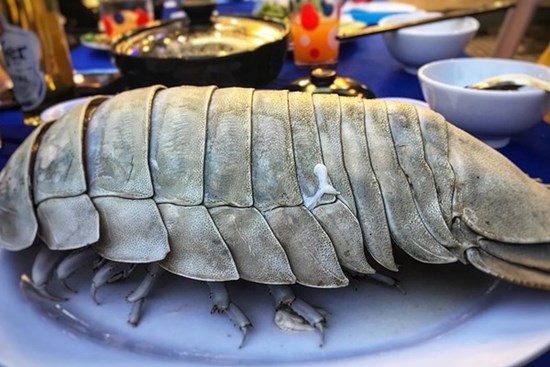 Việt Nam có loại hải sản mệnh danh 