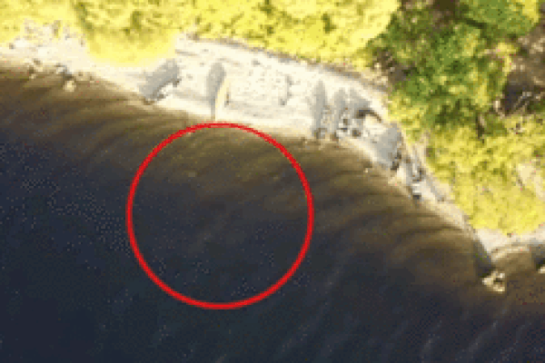 Drone quay được quái vật hồ Loch Ness xuất hiện?