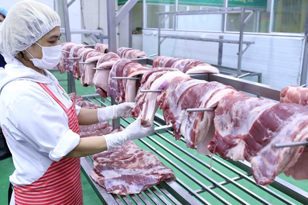 Giá lợn hơi chạm đáy 50 nghìn/kg nhưng ra đến chợ vẫn đắt gấp ba-1