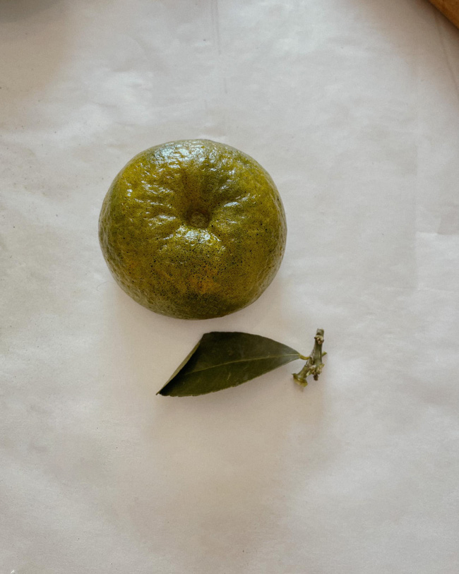 9X xinh đẹp trổ tài làm bánh bao cosplay quả cam giống y như thật khiến cộng đồng mạng khen không ngớt-12