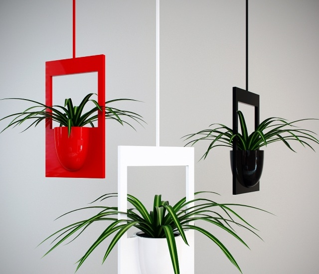 Cây cảnh trong nhà dành cho người bận rộn: Dù ít thời gian chăm sóc, bạn vẫn có những không gian xanh tuyệt vời-4