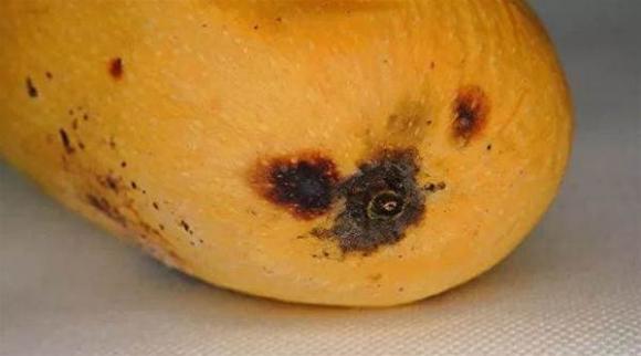 Không nên cho 3 thứ này vào tủ lạnh, sẽ làm giảm tuổi thọ và gây nguy hiểm, giờ bỏ ra cũng chưa muộn-4