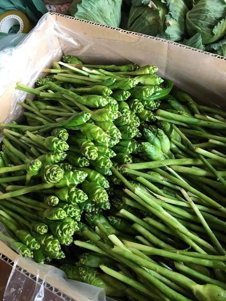 Bất ngờ loại hoa rừng giá chỉ 45 nghìn/kg vừa cắm đẹp lại xào ăn ngon, chị em sành ăn thi nhau lùng mua-3
