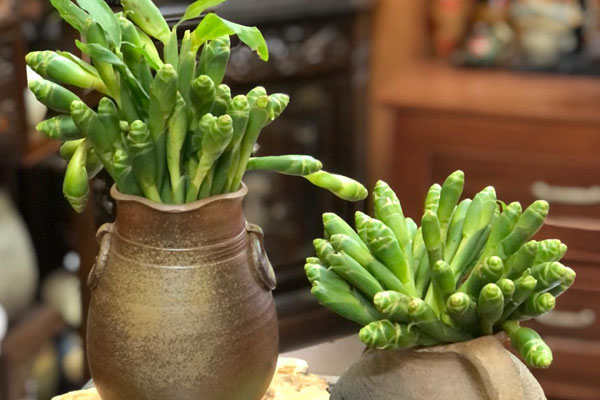 Hàng độc gây sốt: Chị em đua nhau lùng mua cành cà phê về cắm-5