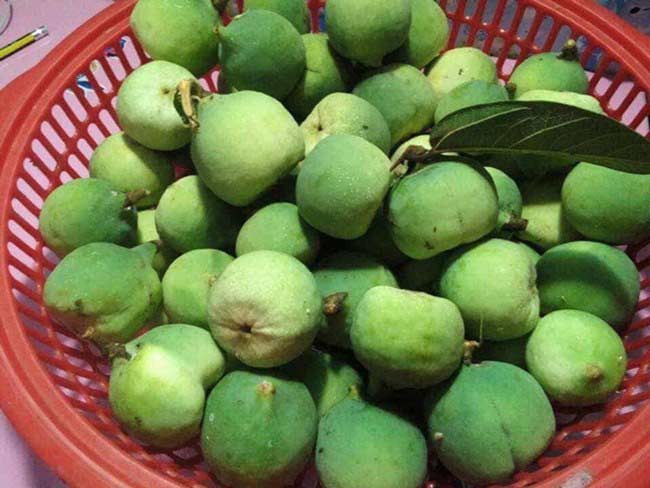 Loại quả mọc dại ở Việt Nam, xưa không ai ngó ngàng, nay 350.000 đồng/kg kiếm tiền ngon ơ-1