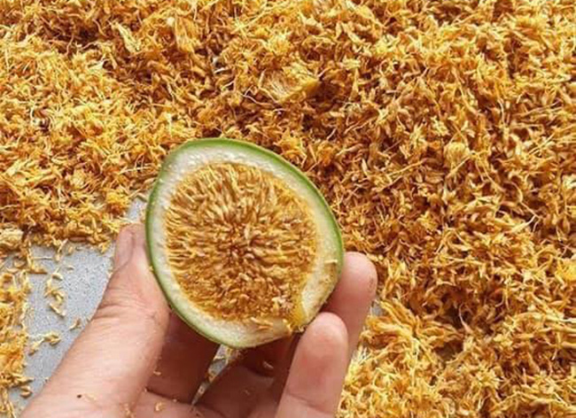 Loại quả mọc dại ở Việt Nam, xưa không ai ngó ngàng, nay 350.000 đồng/kg kiếm tiền ngon ơ-2