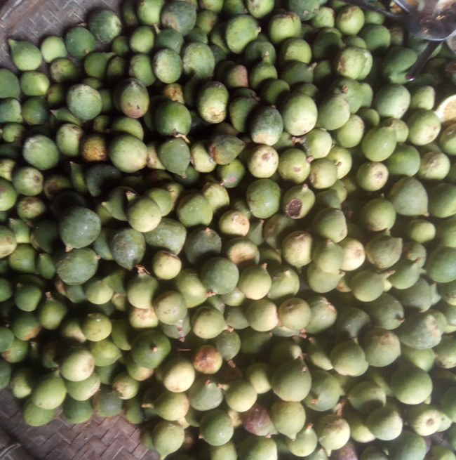 Loại quả mọc dại ở Việt Nam, xưa không ai ngó ngàng, nay 350.000 đồng/kg kiếm tiền ngon ơ-6